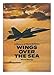 Wings Over the Sea: History of Naval Aviation