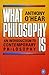 What Philosophy is: Introduction to Contemporary Philosophy (Pelican)