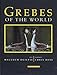 Grebes of the World