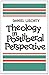 Theology in Postliberal Perspective