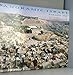 Panoramic Israel; Israel 360 by Aviad Kleinberg (2002-05-04)