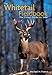 The Whitetail Fieldbook : The Visual Guide to Deer