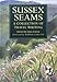 Sussex Seams: A Collection of Travel Writing (Regional Series)