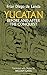 Yucatan Before and After the Conquest (Native American)