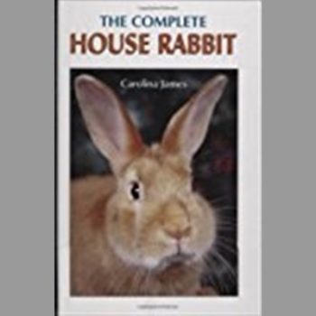 The Complete House Rabbit