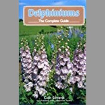 Delphiniums: The Complete Guide