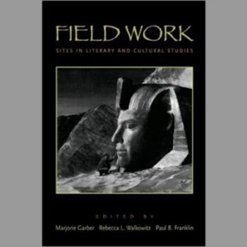 Field Work: Sites in Literary and Cultural Studies: Sights in Literary and Cultural Studies (Culturework: A Book Series from the Center for Literacy and Cultural Studies at Harvard)