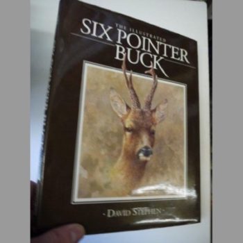 The Illustrated Six Pointer Buck