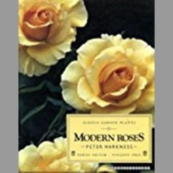 Modern Roses