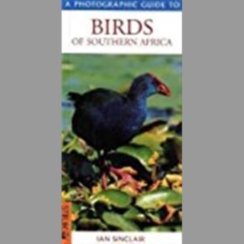 Southern African Birds: A Photographic Guide (Photographic Guides)