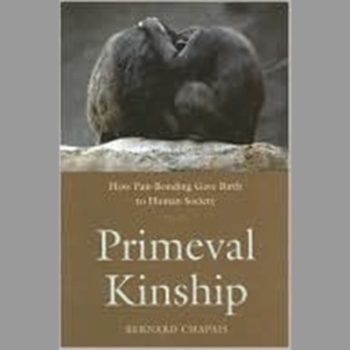 Primeval Kinship: How Pair-Bonding Gave Birth to Human Society