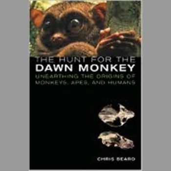 The Hunt for the Dawn Monkey: Unearthing the Origins of Monkeys, Apes, and Humans