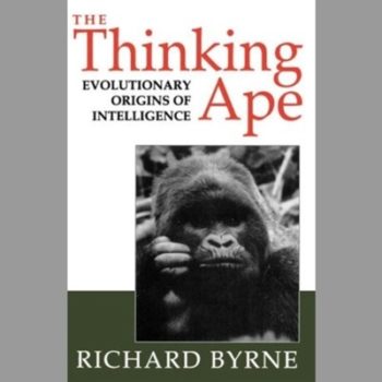 The Thinking Ape: The Evolutionary Origins of Intelligence (Italian Instrumental Music of the)