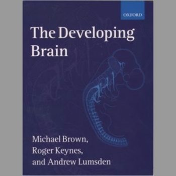 The Developing Brain