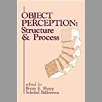 Object Perception: Structure and Process