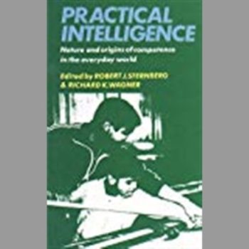 Practical Intelligence