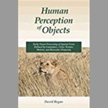 Human Perception of Objects: Early Visual Processing of Spatial Form Defined by Luminance, Color, Texture, Motion and Binocular Disparity