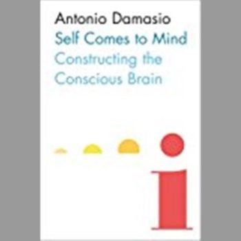 Self Comes to Mind: Constructing the Conscious Brain