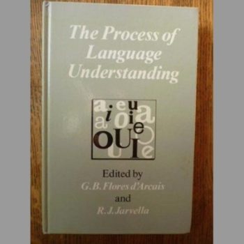 The Process of Language Understanding