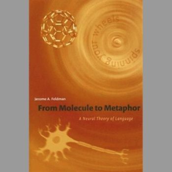 From Molecule to Metaphor: A Neural Theory of Language (A Bradford Book)