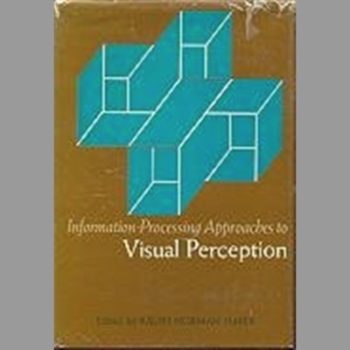 Information Processing Approaches to Visual Perception