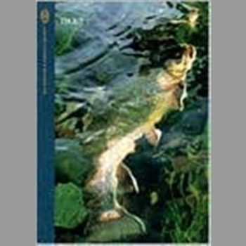 Trout (Freshwater Angler S.)