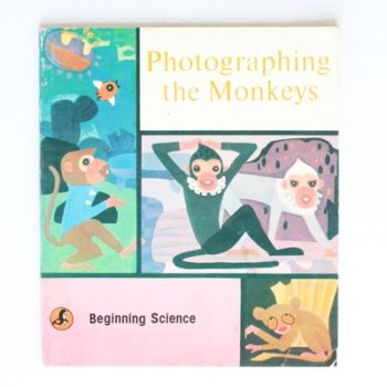 Photographing the monkeys