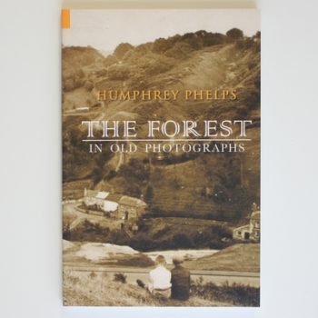 The Forest in Old Photographs