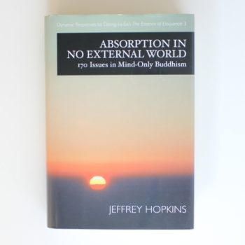 Absorption in No External World: 170 Issues in Mind-only Buddhism (Dynamic Responses to Dzong-Ka-Ba's the Essence of Eloquence) (Dynamic Responses to Dzong-ka-ba's the Essence of Eloquence, 3)