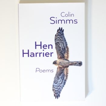 Hen Harrier Poems