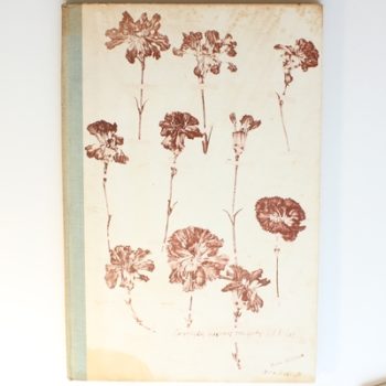 Old Carnations and Pinks