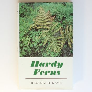 Hardy Ferns