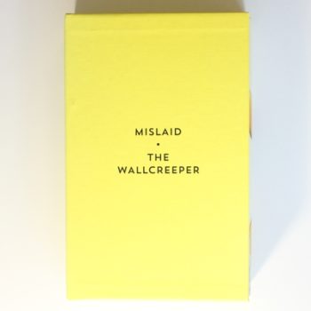 Mislaid & The Wallcreeper: The Nell Zink Box set