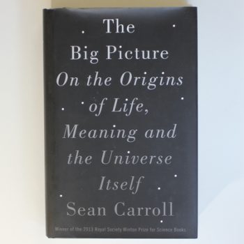 The Big Picture: On the Origins of Life, Meaning, and the Universe Itself