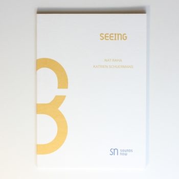 Seeing - Essays by Nat Raha and Katrien Schuermans (Sounds Now - Essays, 2)